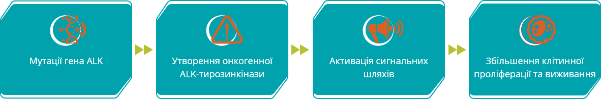 Мутації гена ALK - Утворення онкогенної - Активація сигнальних - Збільшення клітинної проліферації та виживання