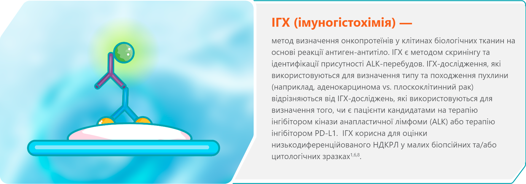 ІГХ (імуногістохімія)