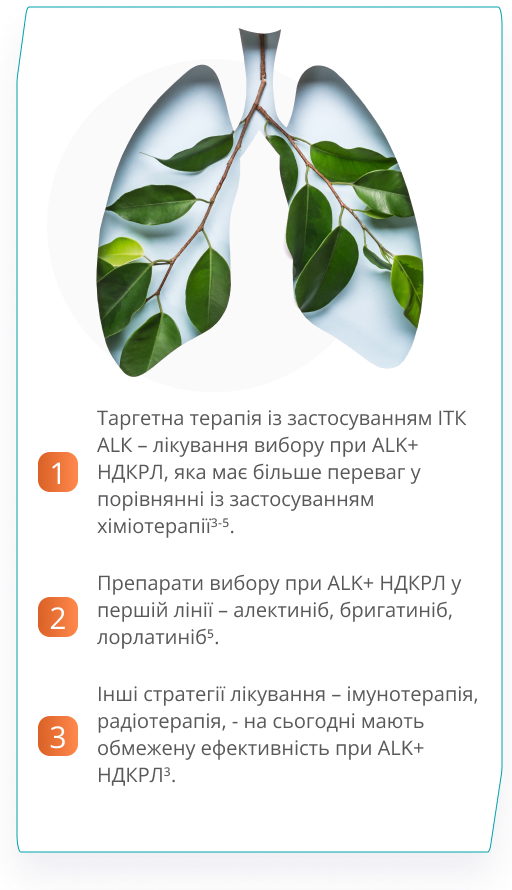 Висновки