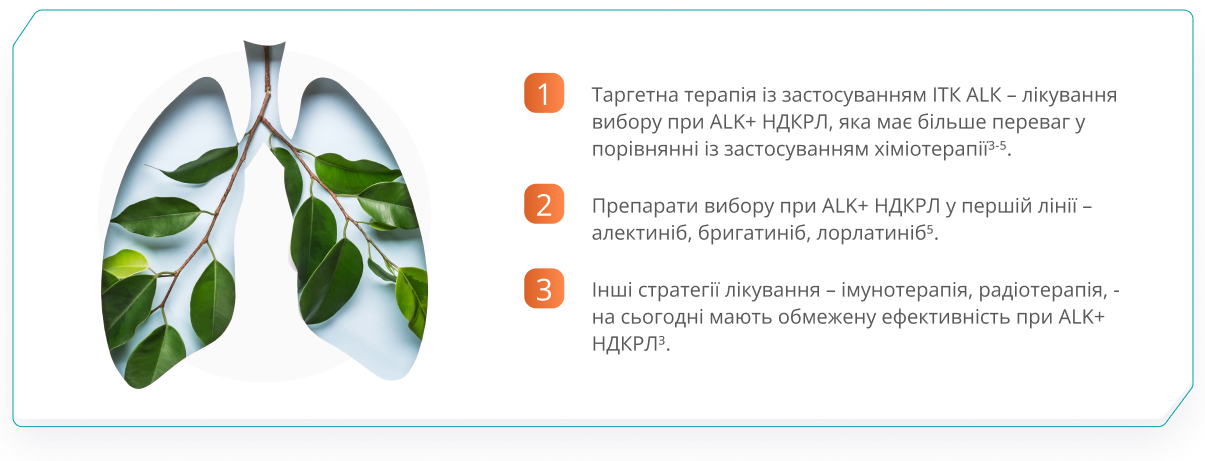 Висновки