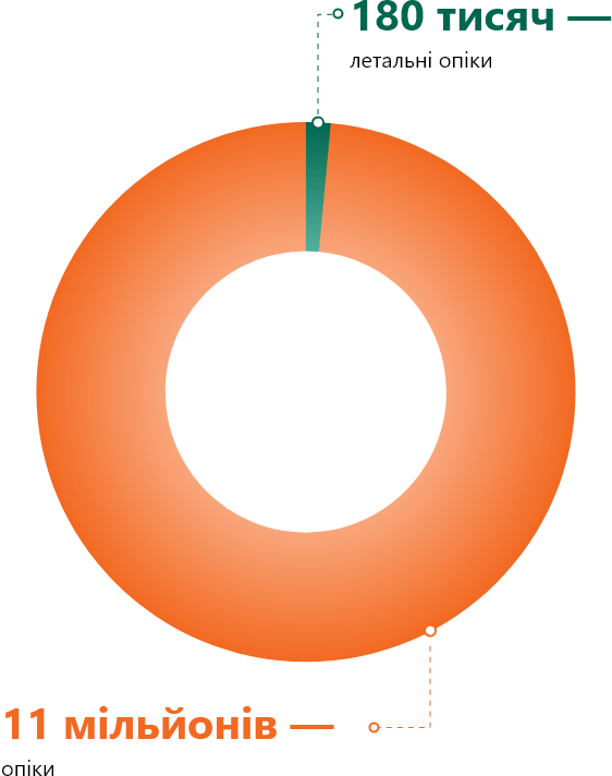 11 мільйонів — опіки