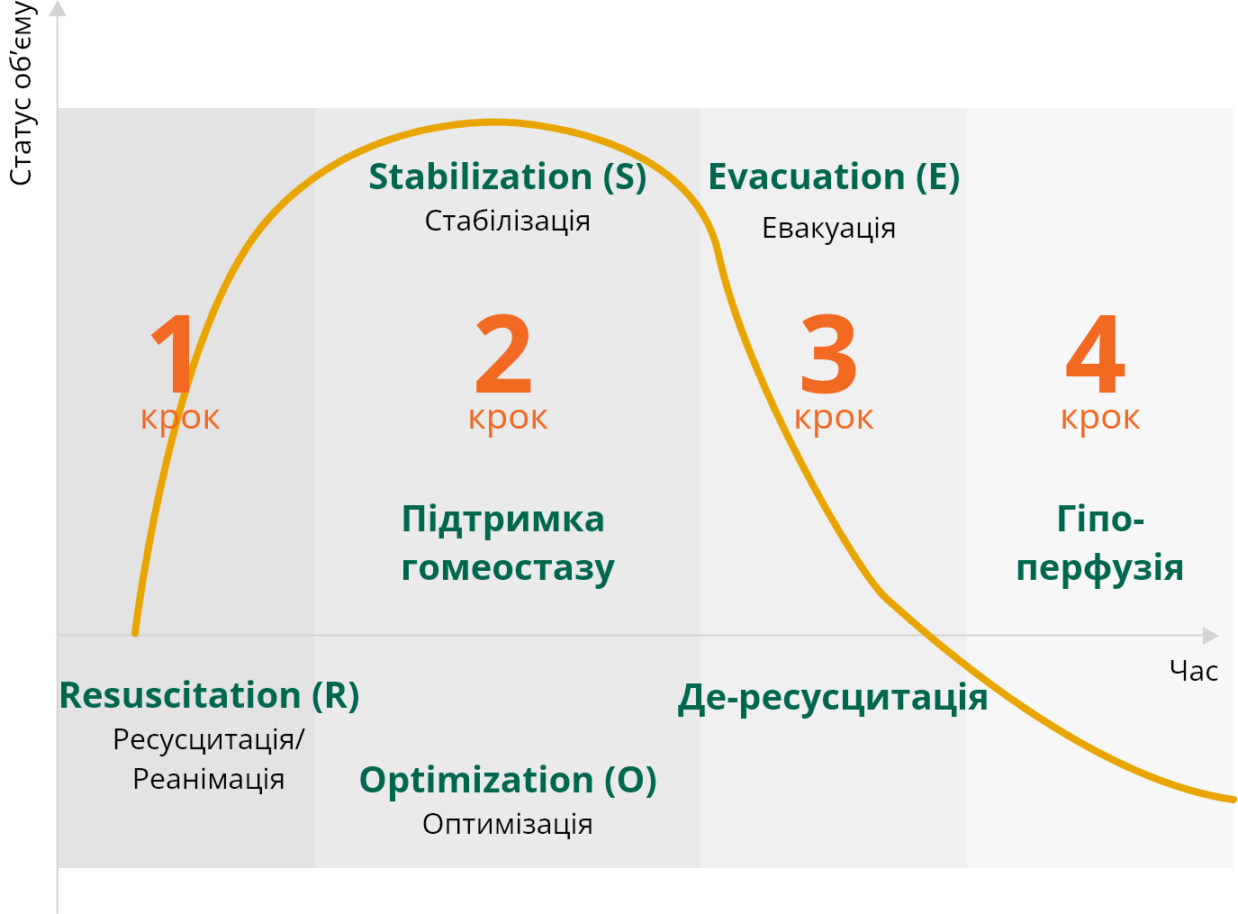 4 фази інфузійної терапії та концепція ROSE