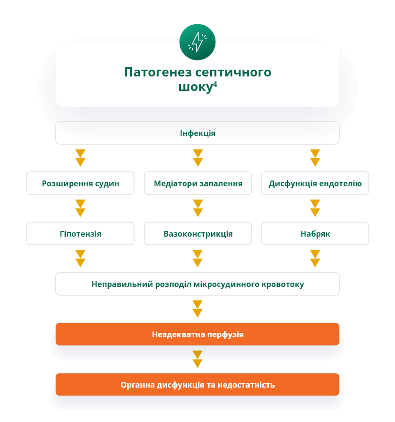 Патогенез септичного шоку