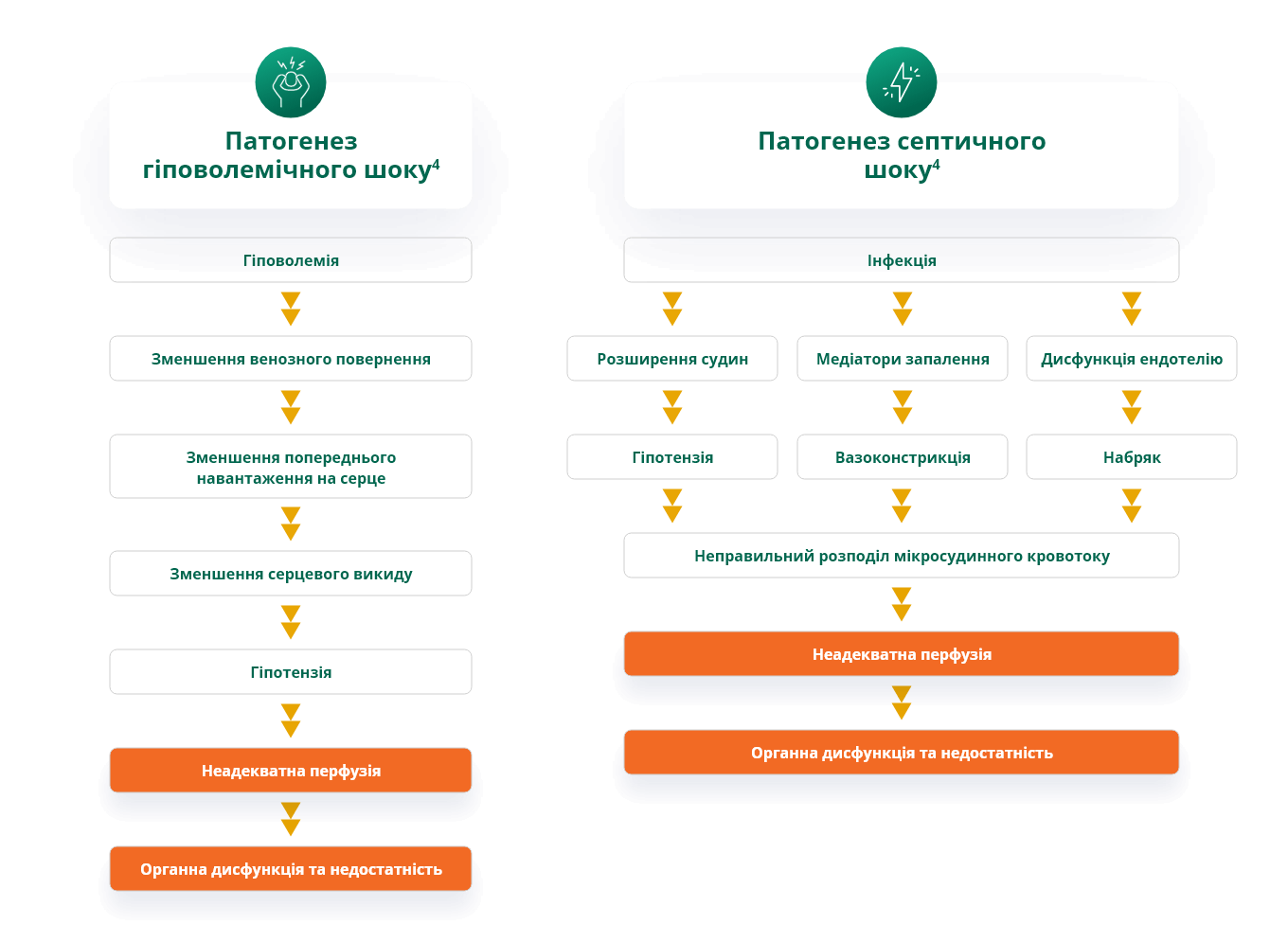 Патогенез гіповолемічного шоку; Патогенез септичного шоку