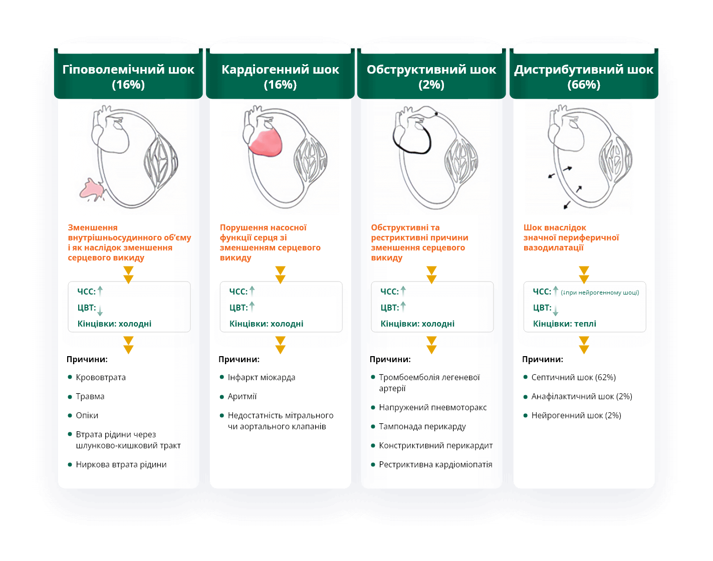 Гіповолемічний шок (16%); Кардіогенний шок (16%); Обструктивний шок (2%); Дистрибутивний шок (66%)
