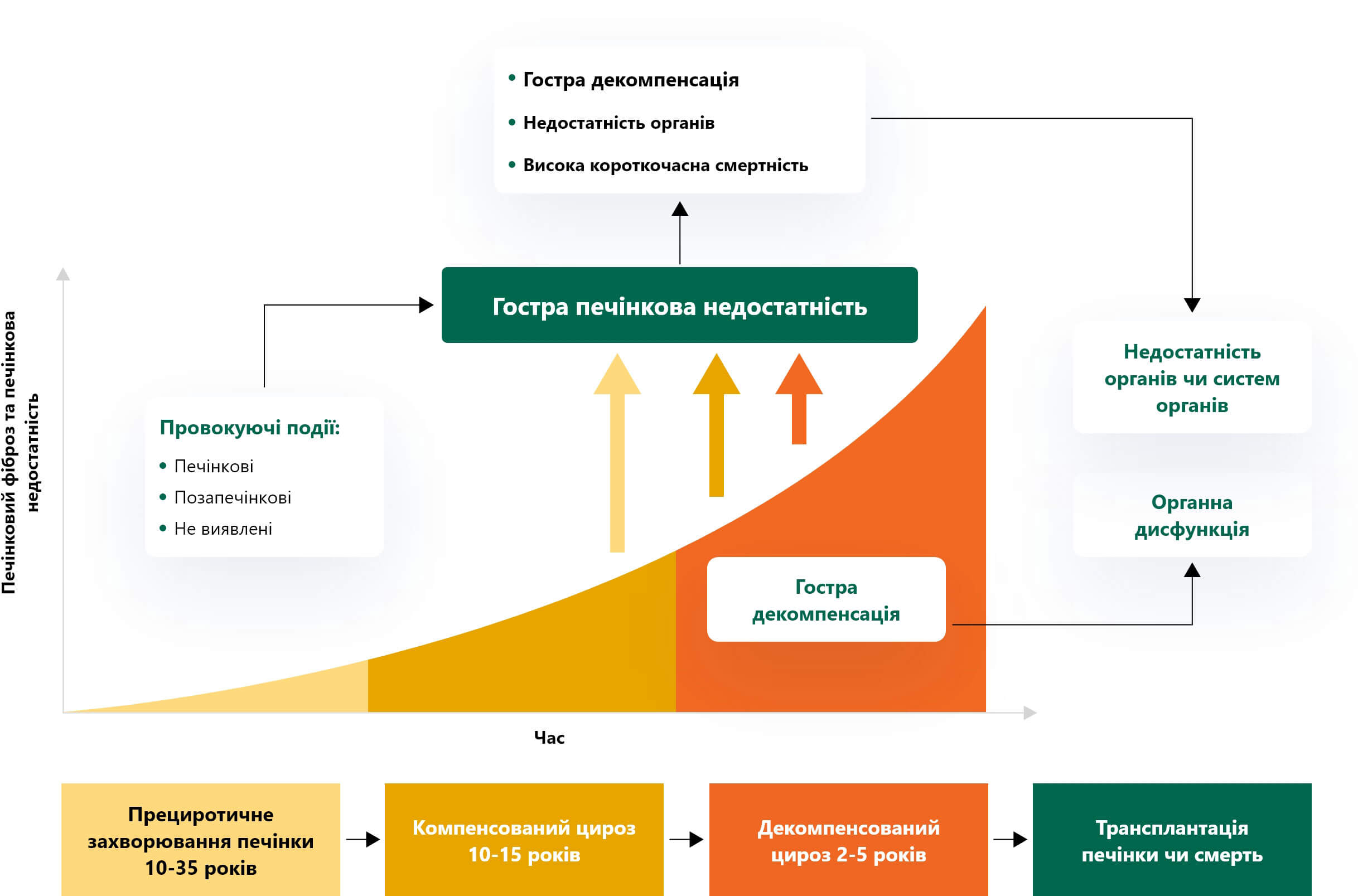 Гостра печінкова недостатність