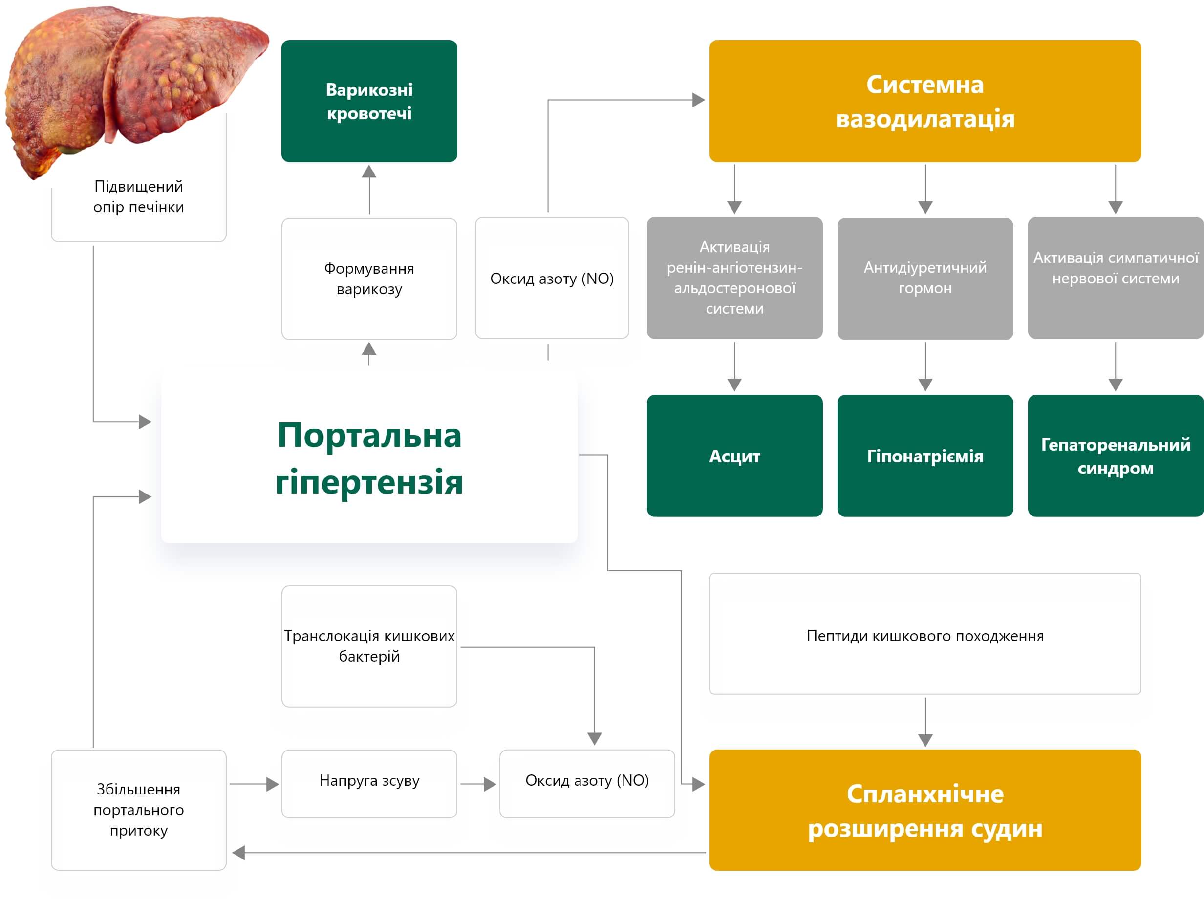 Системна вазодилатація