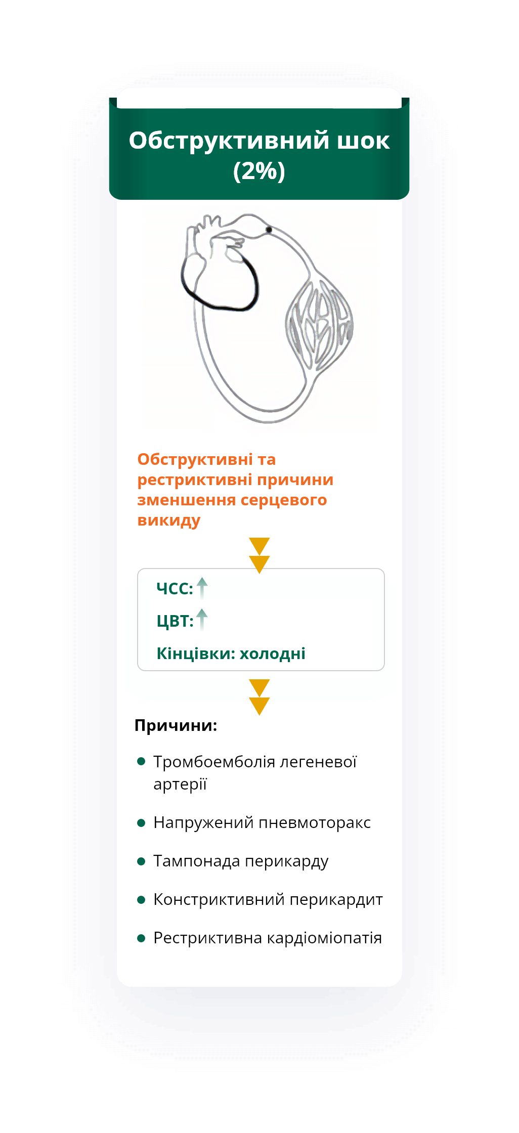 Обструктивний шок (2%)