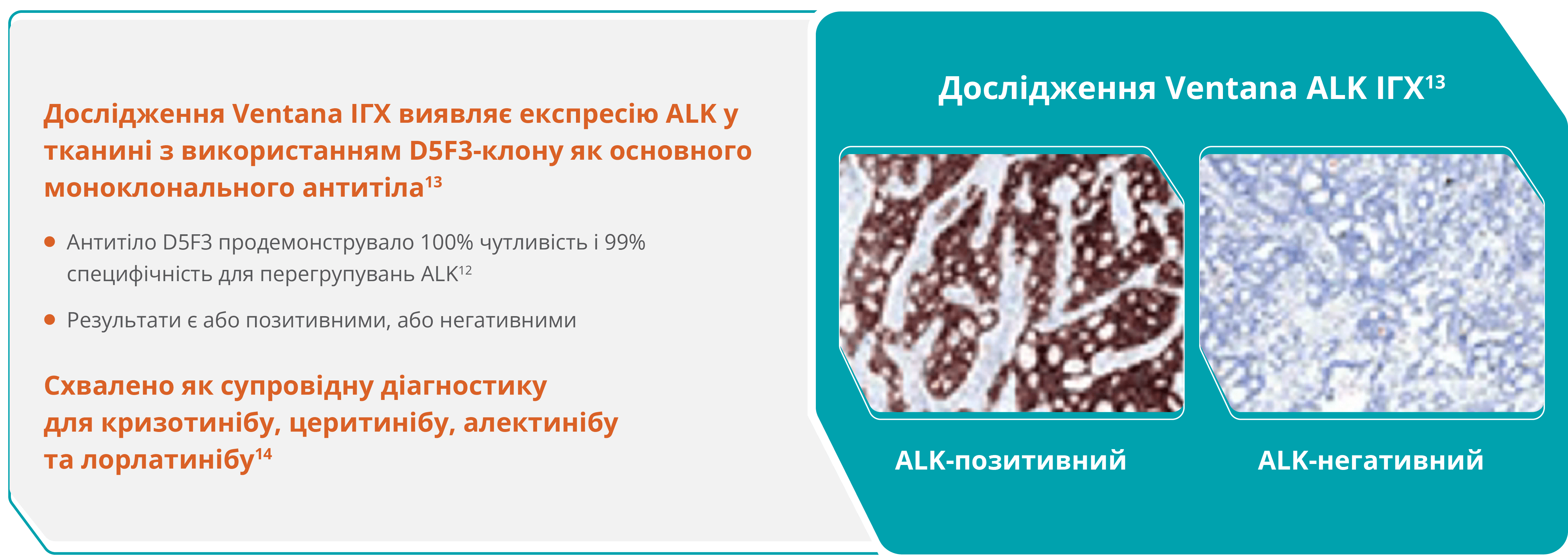 Імуногістохімія