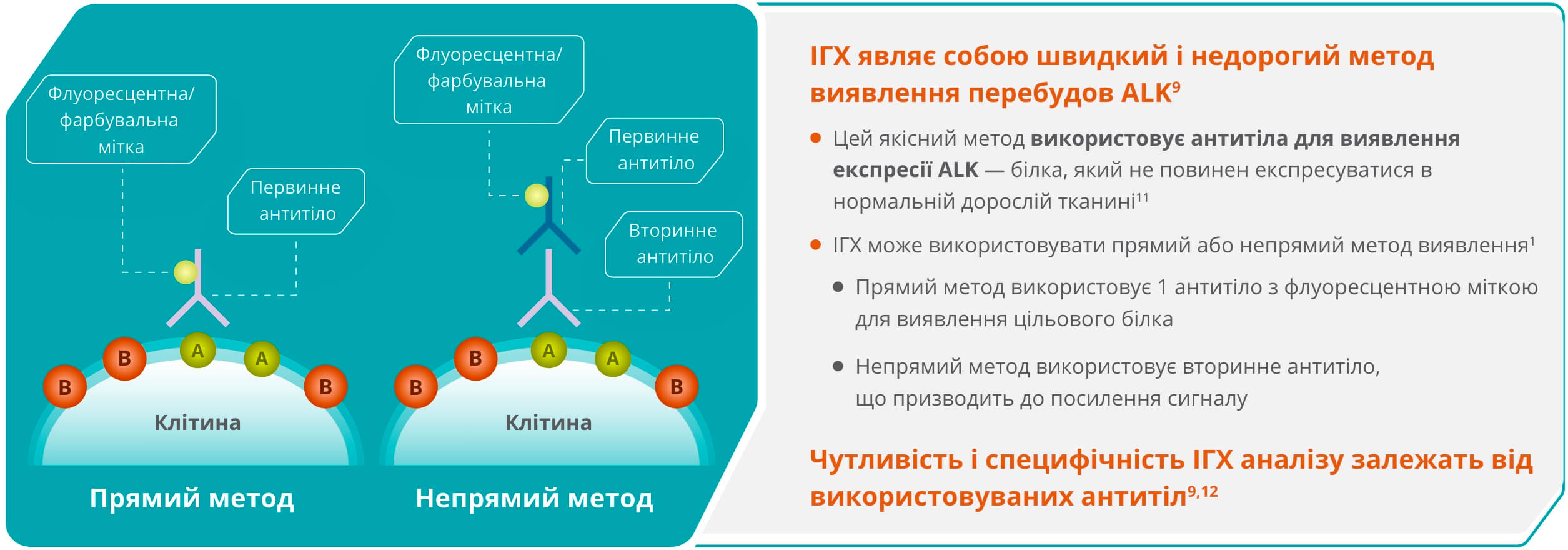 Імуногістохімія